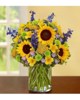 LARGE size,  inches height and  inches wide.