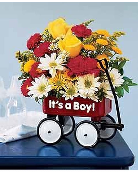 A Baby Boy's First Wagon in Bradenton FL Coast to Coast Flowers