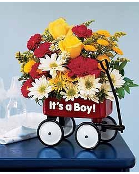 A Baby Boy's First Wagon in Bradenton FL Coast to Coast Flowers