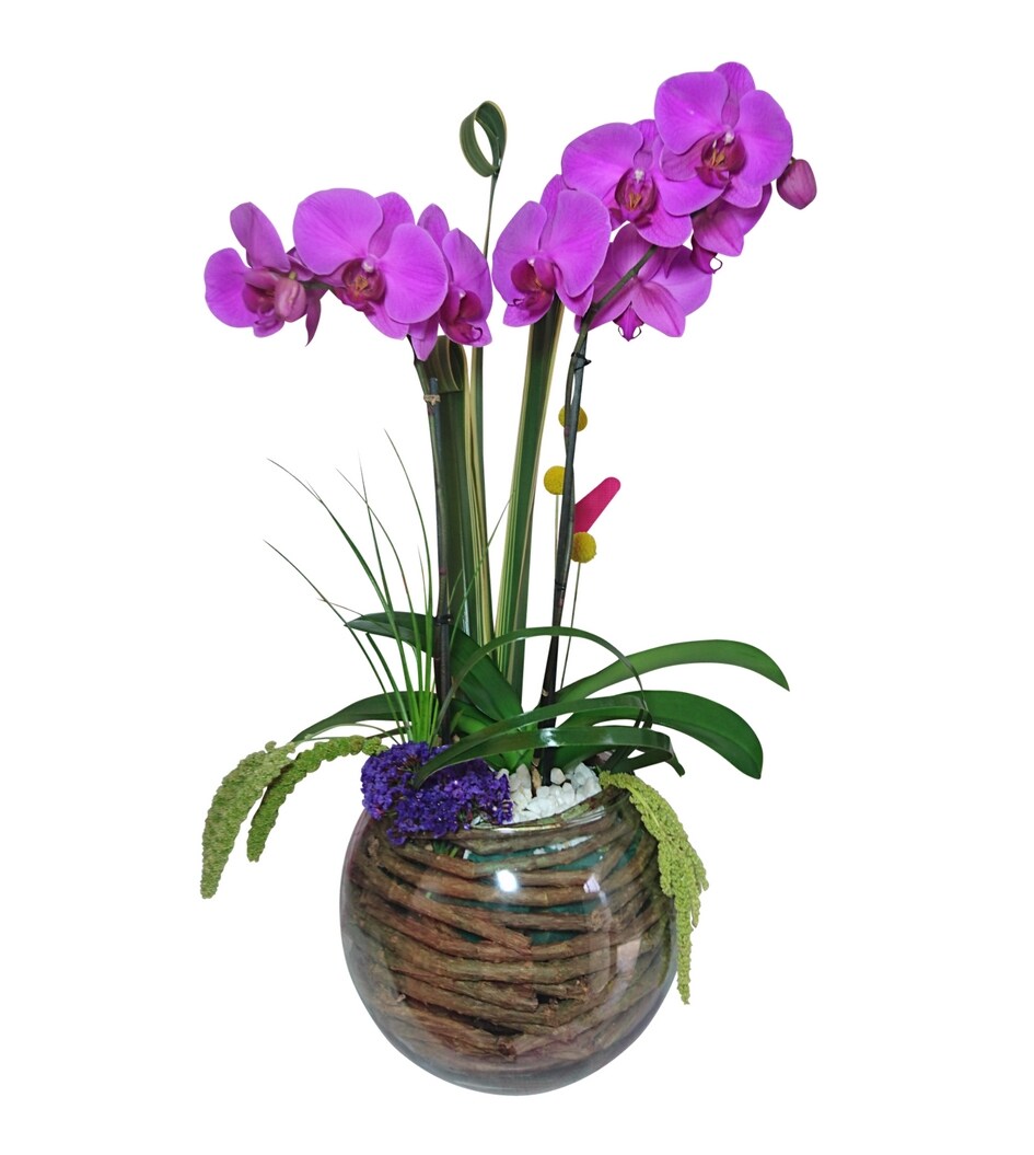 Beautiful Seasonal Flowers Banner