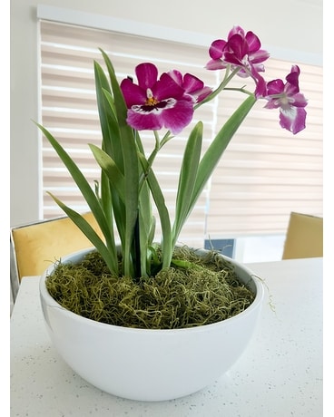 Pink orchids Flower Arrangement