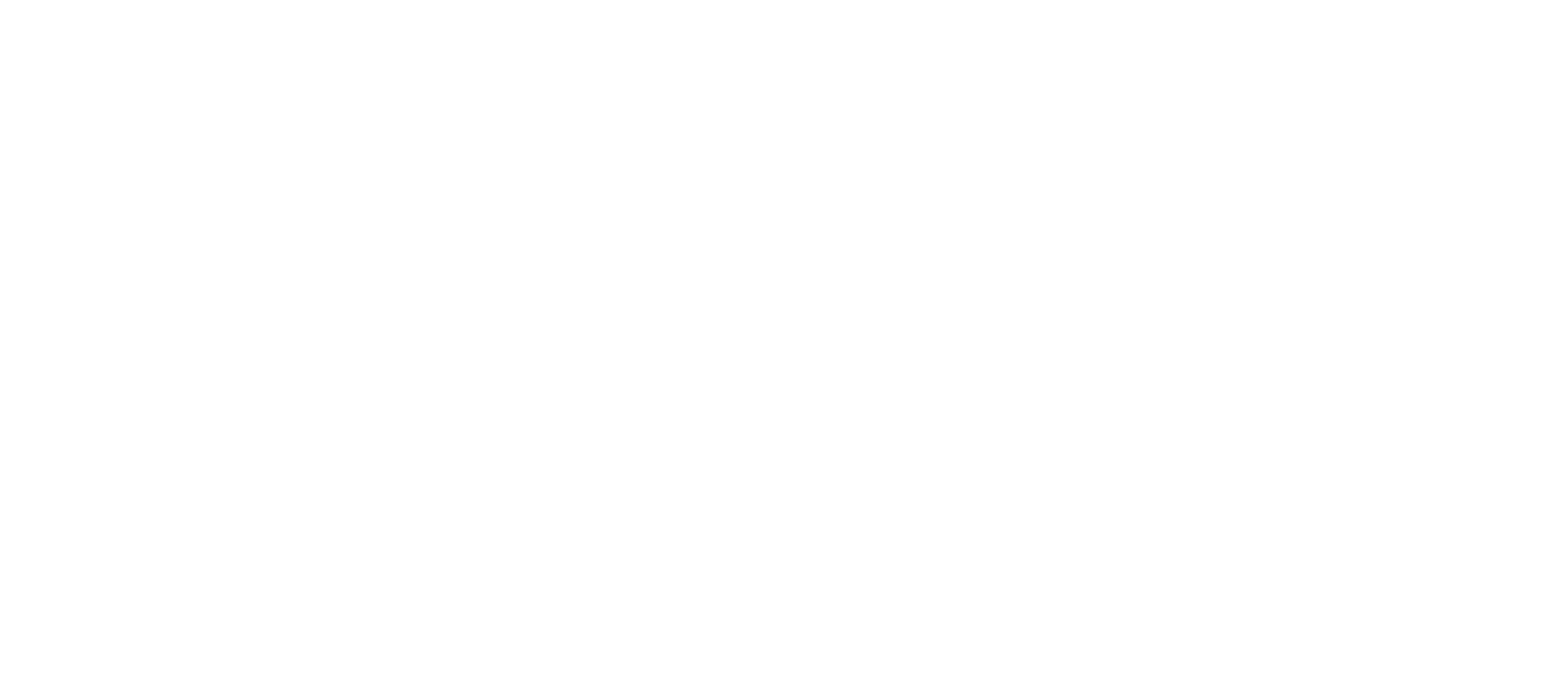 BC Flowers & Events - Logo