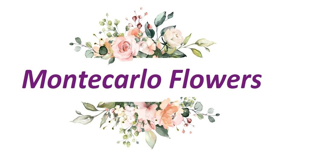 Montecarlo - Logo