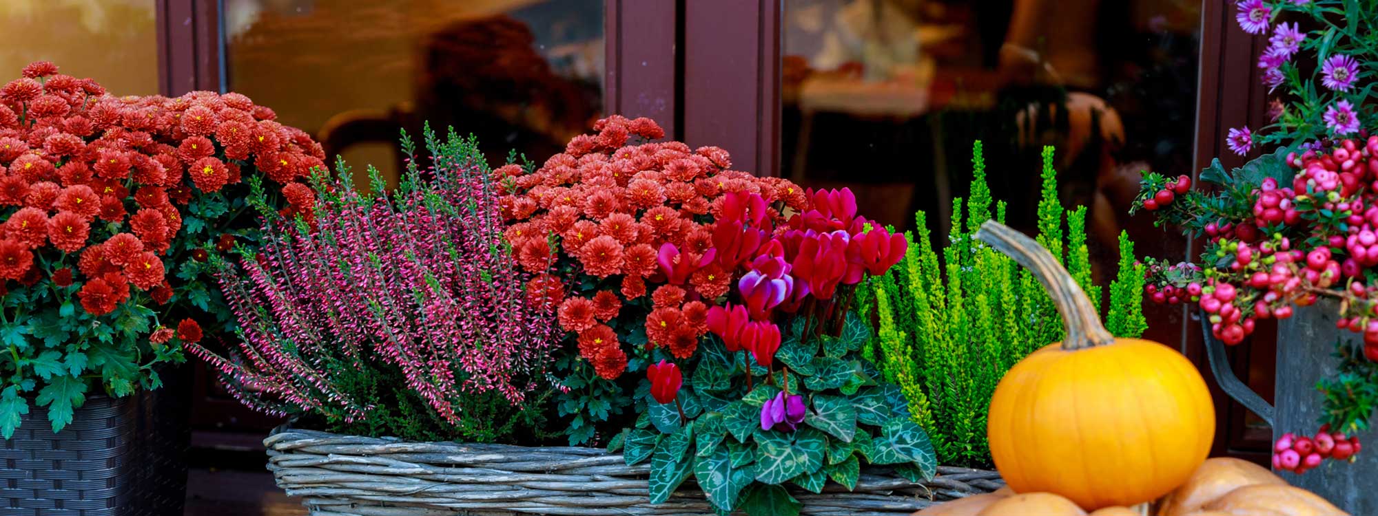 Florist Rome GA Cedartown GA Florist Same Day Flower Delivery