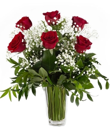 Half Dozen Red Roses Flower Arrangement