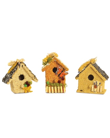 Mr. Bird Bird Houses Gifts