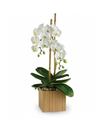 Opulent Orchid Flower Arrangement