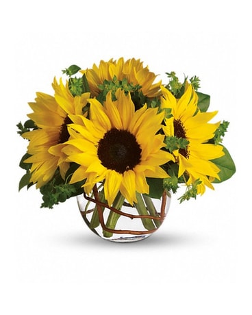Sunny Sunflowers Flower Arrangement