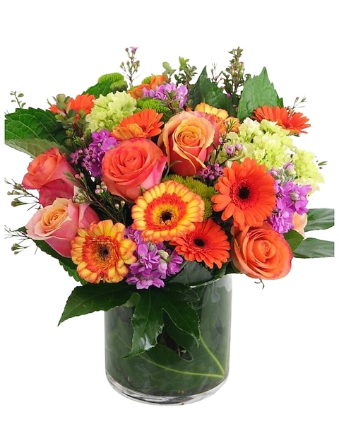 Special Discount Coupon Code, Use On Main Website, Save $10 On Your Purchase North Georgia Dream Flower Arrangement
