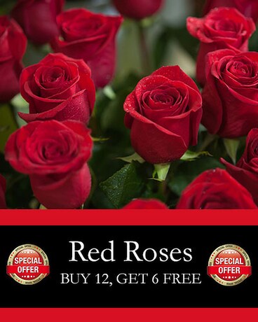 Red Rose Special Offer Flower Arrangement