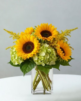 Orange Crush with Hydrangeas in Woodstock GA - Brenda's House of