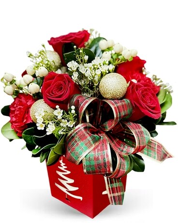 Festive Tidings