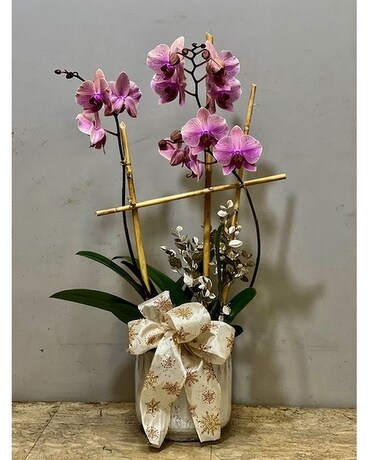 Glorious Gratitude Christmas Flower Arrangement