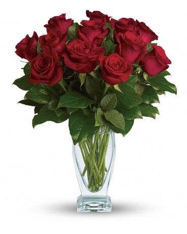 Dozen Long Stemmed Red Roses Flower Arrangement