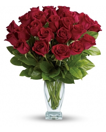 Two Dozen Long Stemmed Red Roses Flower Arrangement