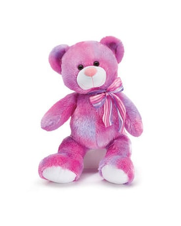 TYE DYE BEAR Gifts