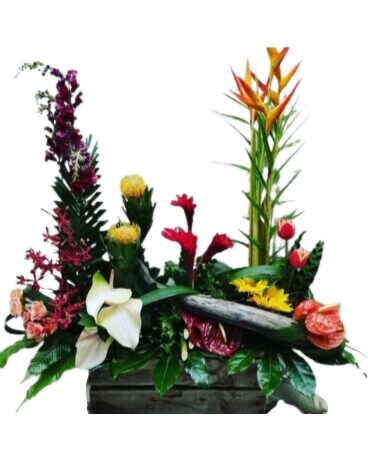 SYMPATHY ARRANGEMENT Custom product