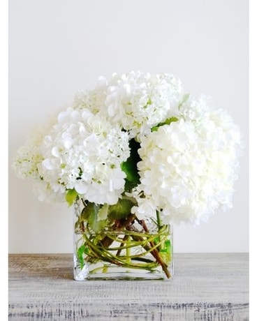 Hydrangea Cube MUST PURCHASE TWO OR MORE Flower Arrangement