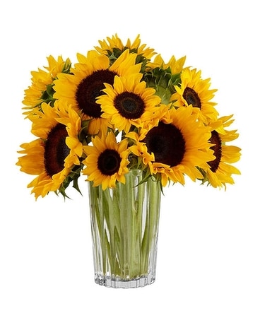 Downers Grove Florist - Flower Delivery by Heritage House Florist