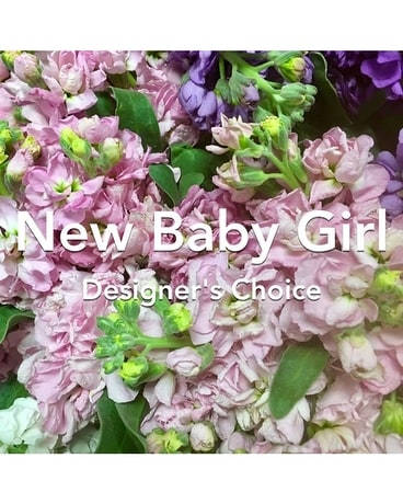 Baby Girl Designer Choice Flower Arrangement