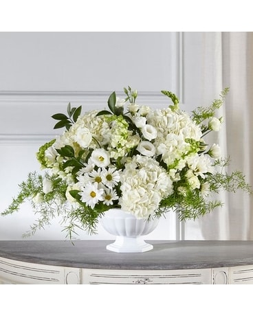 Compassion and Love Funeral Arrangement