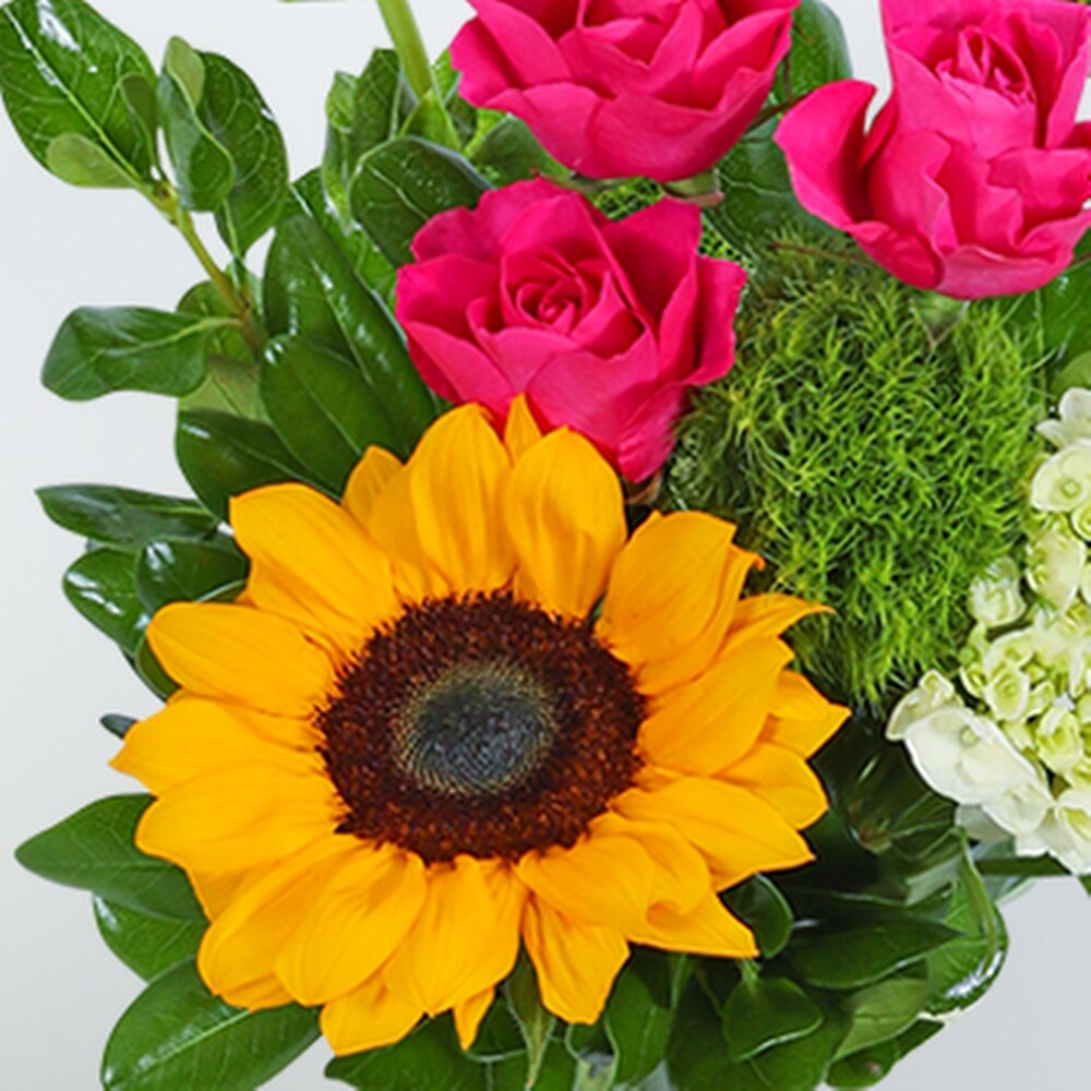 flowerページ Vibrant Vibe in Fort Dodge IA - Becker Florist Acquisition