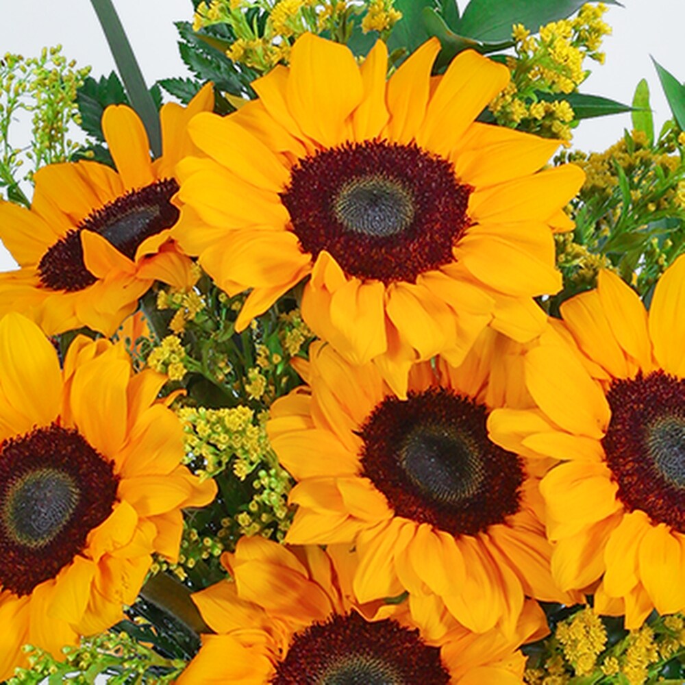 Sunflowers and Love Knots in Plymouth MI - Vanessa's Flowers