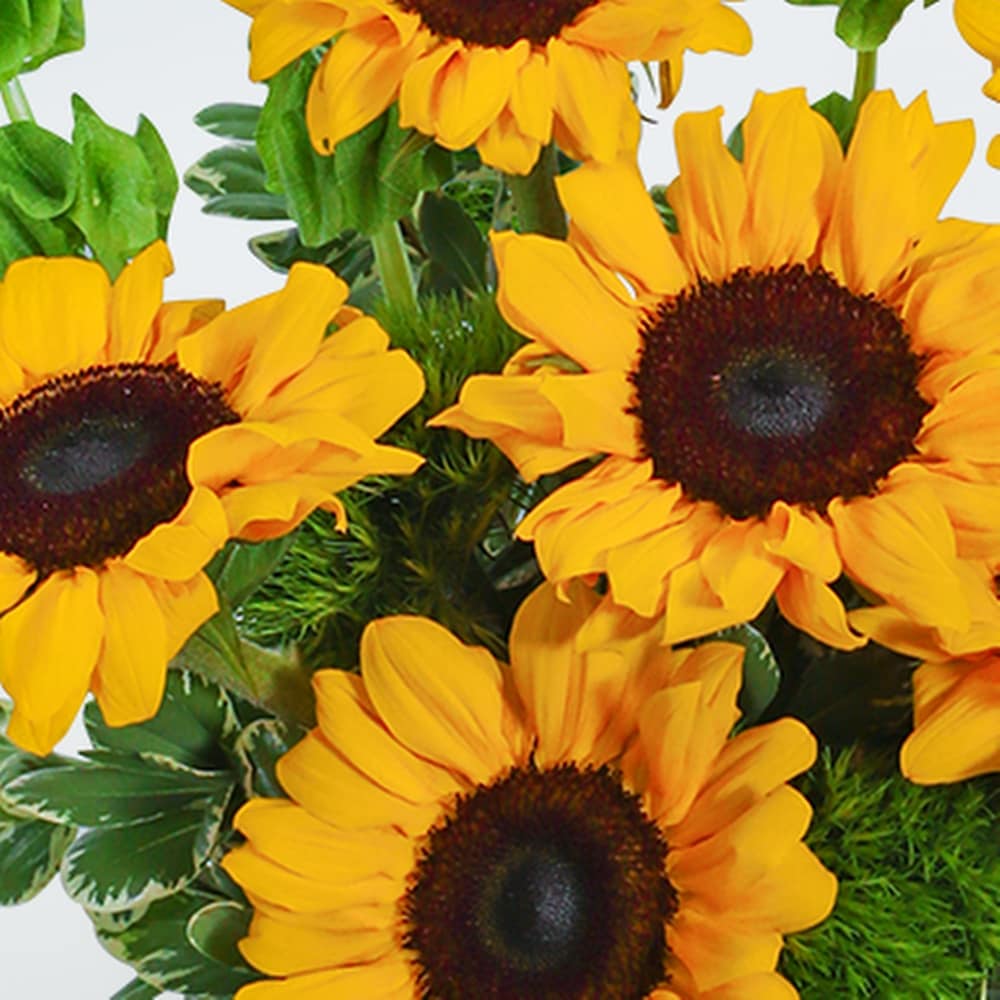 Sunflowers and Bells in Fort Dodge IA - Becker Florist