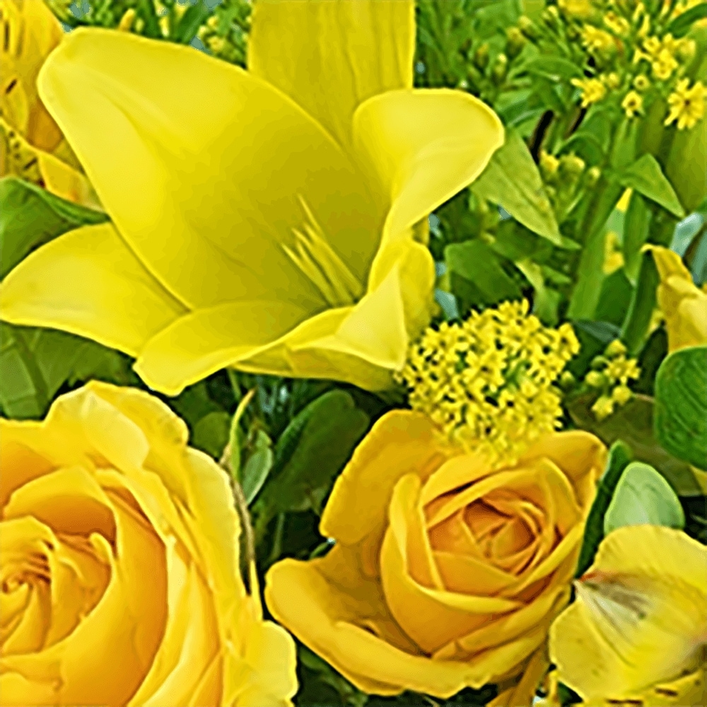 Canary Light in Columbia City IN - TNT Floral Shop