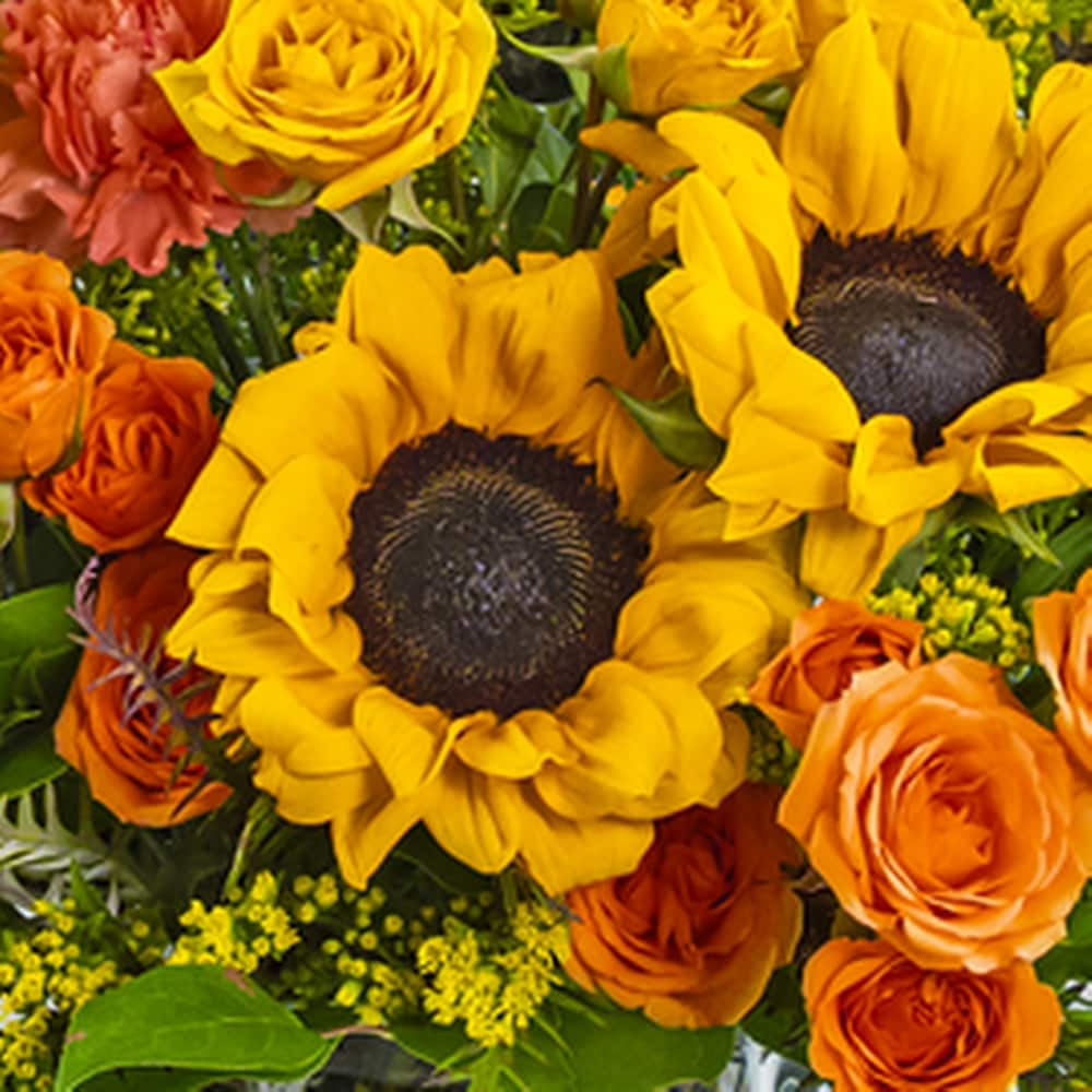 Wild Saffron in Plymouth MI - Vanessa's Flowers