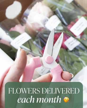 Flower Subscription Flower Arrangement
