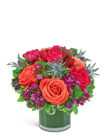flowerページ Paradise Found - TFWEB386 ($60.26)