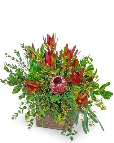 Wild and Lush Protea Flower Arrangement