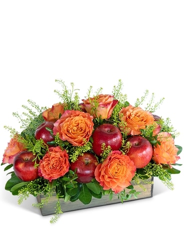 メ*6様 ミナペルホネン/flowercrown/celebrate/Rosy/ メ*6様 ミナペルホネン/flowercrown/celebrate/Rosy/ メ*6様 ミナ