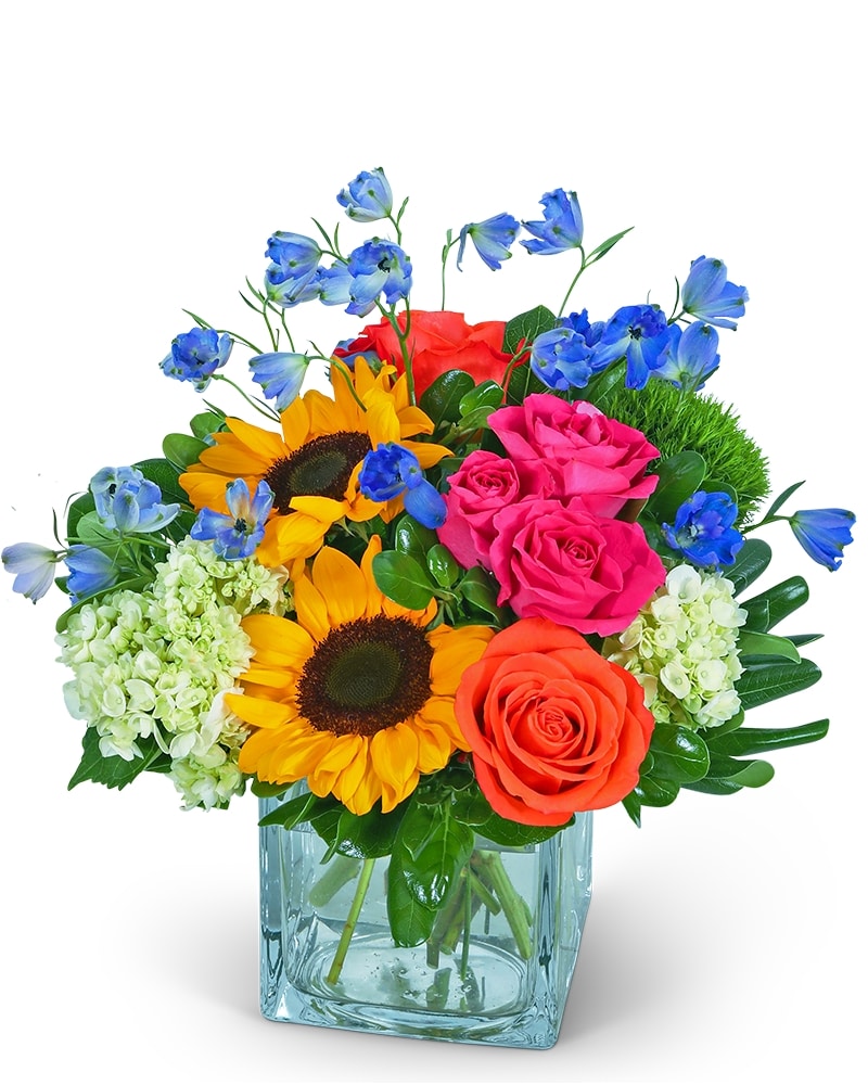 C.O.H Valenna 50S 3点 Craft One Happiness Enchanting Valencia in Plymouth MI - Vanessa's Flowers