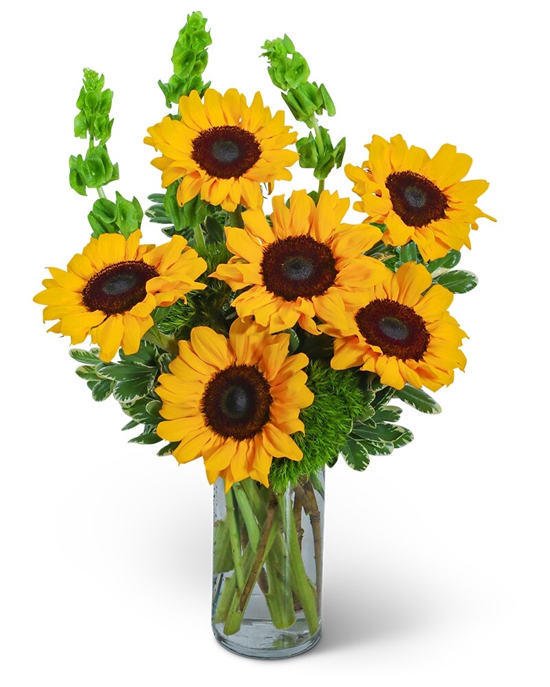 Sunflower ページ Sunflower stem x 4 flowers 26