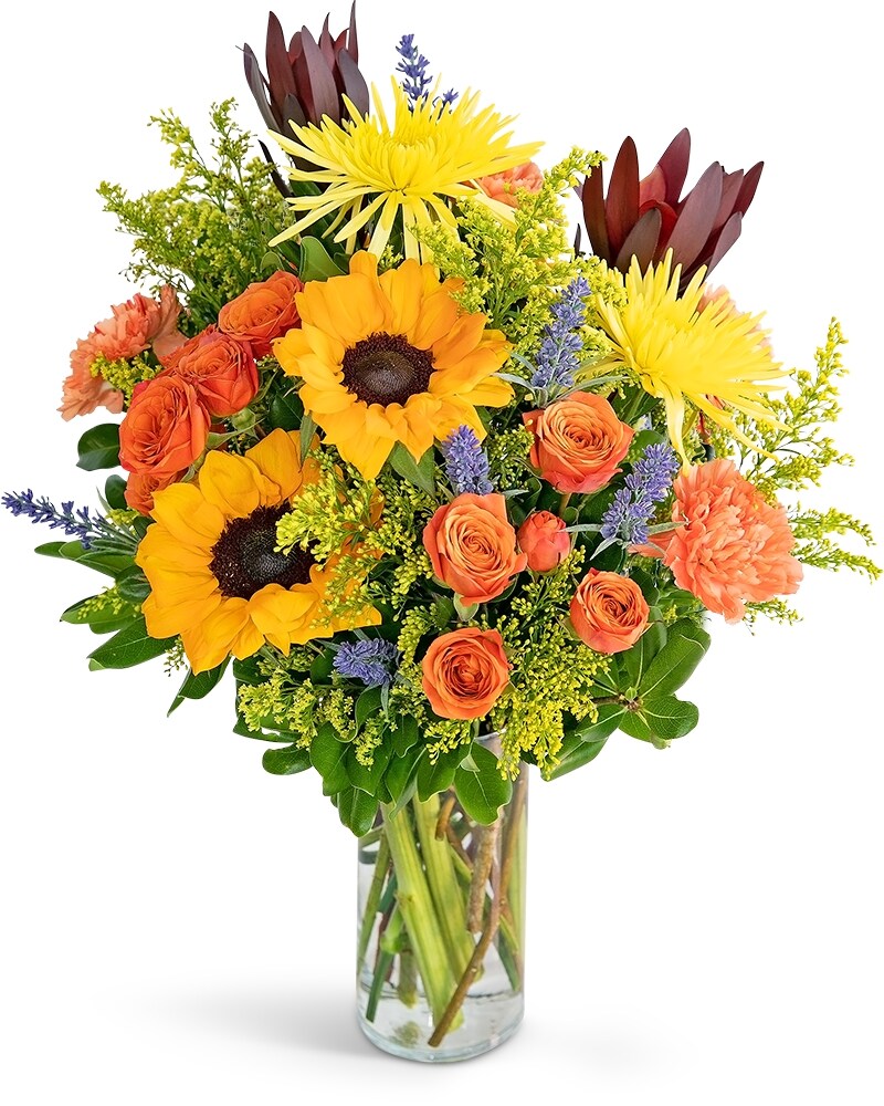 Sending You Splendor in Plymouth MI - Vanessa's Flowers