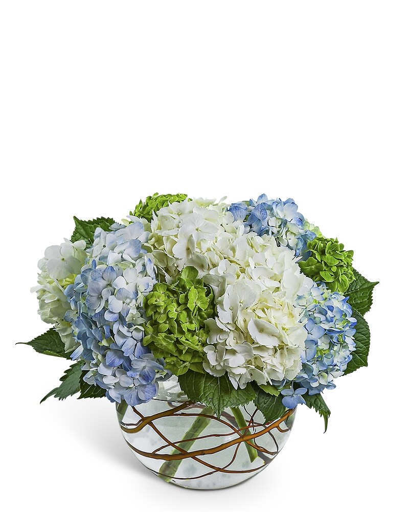 Hydrangea Heaven in West Allis WI - Locker's Florist