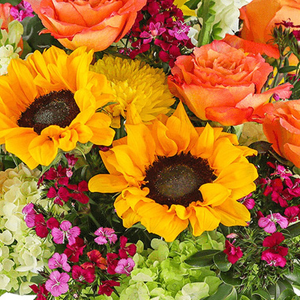 Stunning Seasonal Blooms in Harrisonburg VA - Blakemore's Flowers