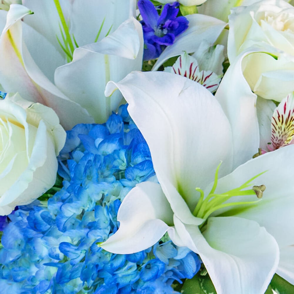 Nothing But Blue Skies in Alexandria & Pineville, LA | House of