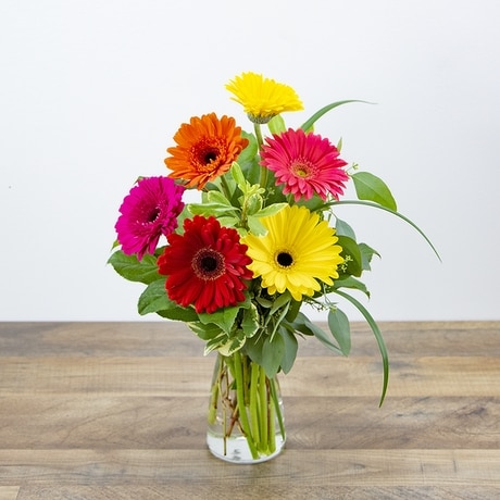 Sunny Gerbera in Harrisonburg VA - Blakemore's Flowers