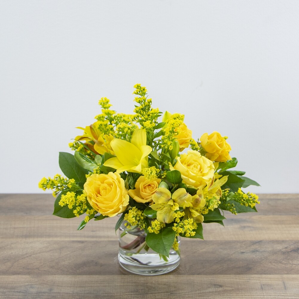 アンダラクリスタル フラダンス　24１１２６－11 Canary Light in Shreveport LA - Colony House of Flowers