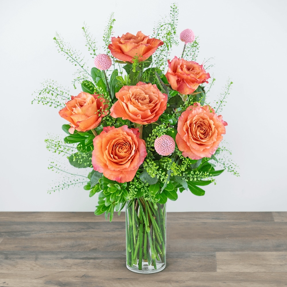 Half Dozen Free Spirit Rose Symphony in Troy OH - Trojan Florist