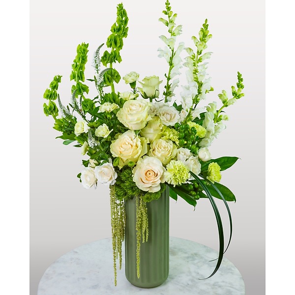 Cashmere Veil in Hartford CT - House of Flora Flowers and More