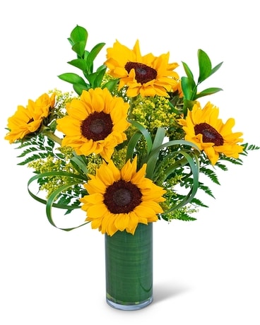 Ray of Golden Sunflowers Flower Arrangement