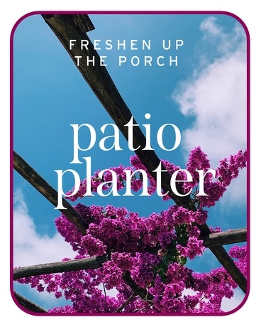 Patio Planter Plant