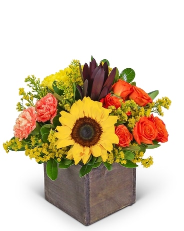 Sunbeam Symphony Flower Arrangement