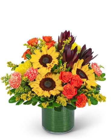 Sunbeam Signature Flower Arrangement