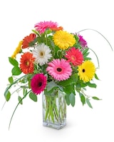 Standard size, 16 inches height and 10 inches wide.