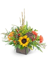 Standard size, 12 inches height and 15 inches wide.